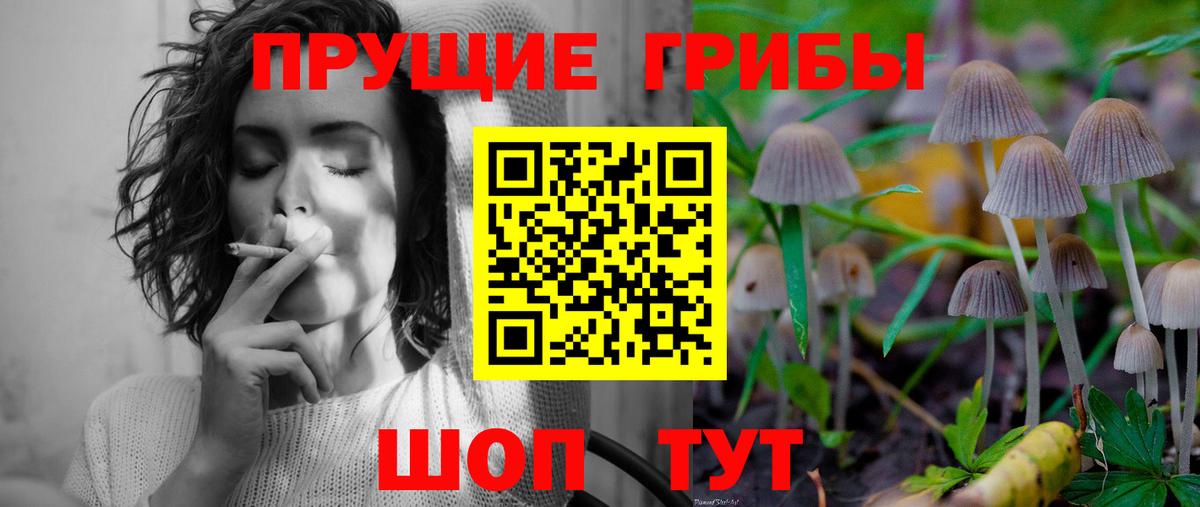 Кашира  Галлюциногенные грибы MAGIC MUSHROOMS  Вход с VPN 